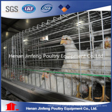 für Kenya Farm Automatic Broiler Hühnerkäfig Manufaktur